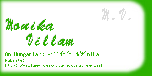 monika villam business card